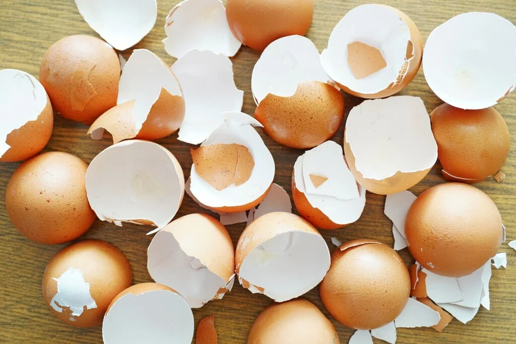 15 Genius Ways to Use Eggshells : They will change your home and Garden