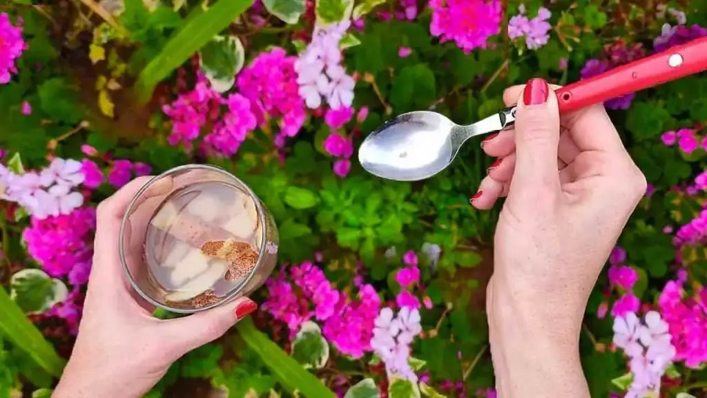 Si quieres un jardín lleno de flores que todos envidien tienes que hacer esto