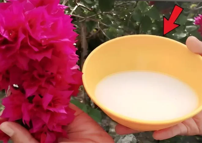Este ingrediente es más fuerte que el agua, hace que las plantas crezcan sanas y exuberantes.