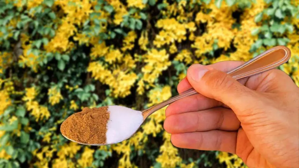 Esto revivirá cualquier planta amarillenta o podrida en cuestión de horas.