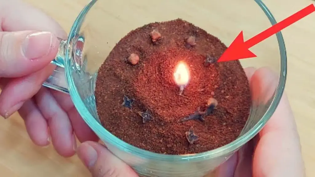 Te mostramos cómo hacer que moscas y cucarachas desaparezcan de tu casa en menos de 10 minutos