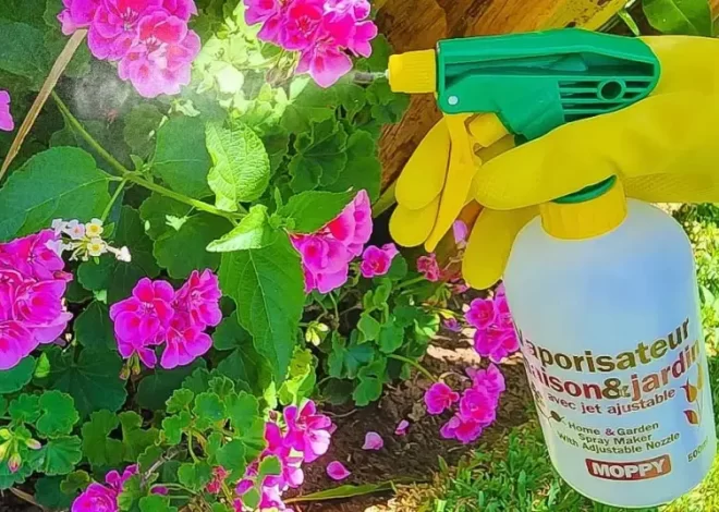 4 formas de preparar un antiáfido natural con bicarbonato de sodio