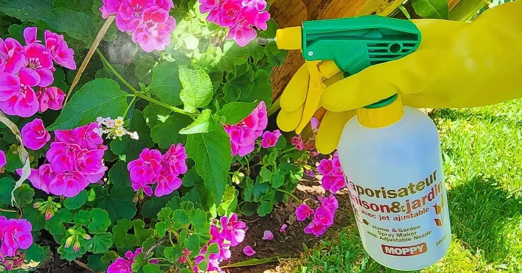 4 formas de preparar un antiáfido natural con bicarbonato de sodio