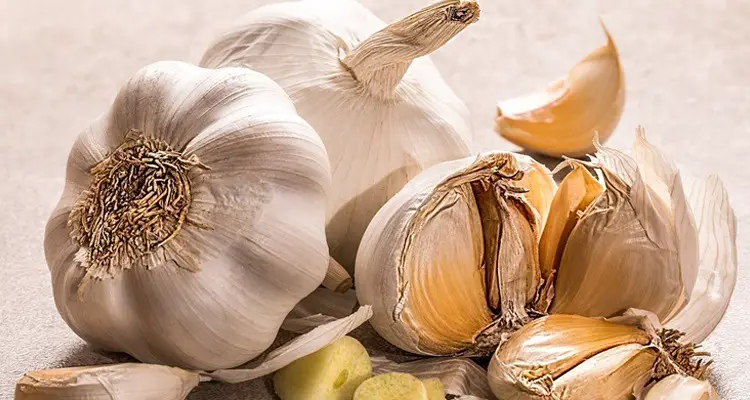 6 Grandma’s Tips for Preserving Garlic for Months
