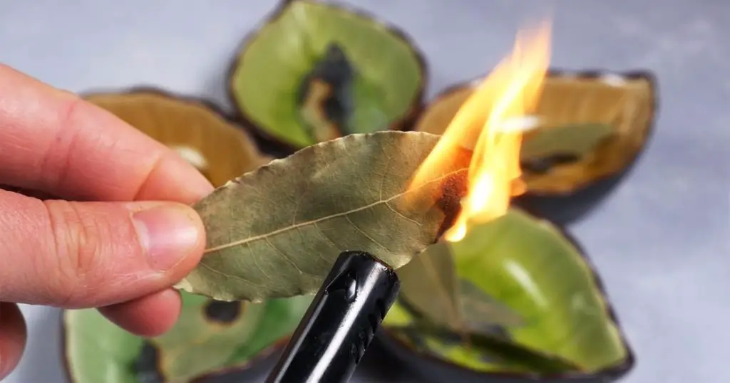 7 Surprising Benefits of Burning a Bay Leaf at Home Every Night