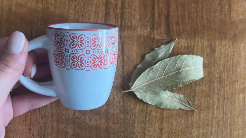 A cup of coffee and two bay leaves, mix them and you’ll see: they’re worth gold at home