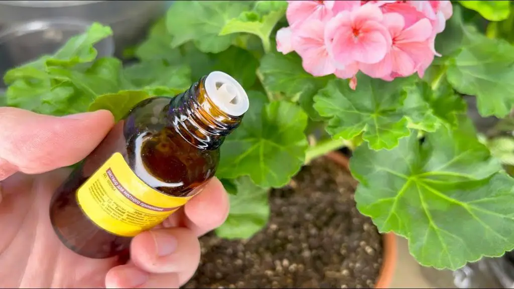 Bring Your Flowers to Life: 3 Drops in February for Lush Blooms!