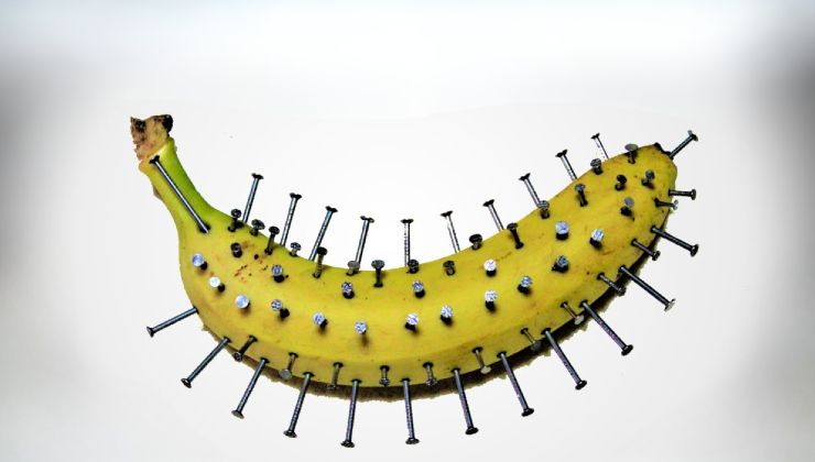 Clavos en un plátano, increíble lo que pasa en solo 10 minutos