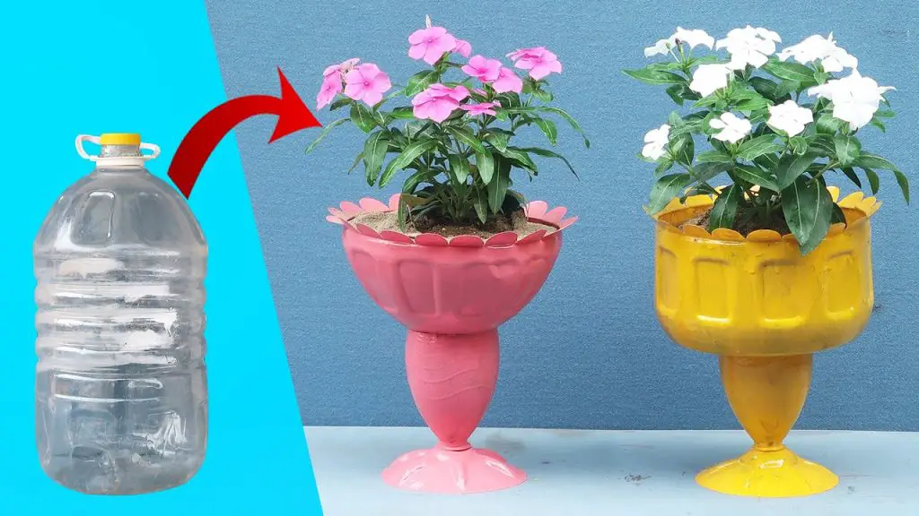 Crafting a Lovely Plastic Bottle Potted Plant for Your Small Garden