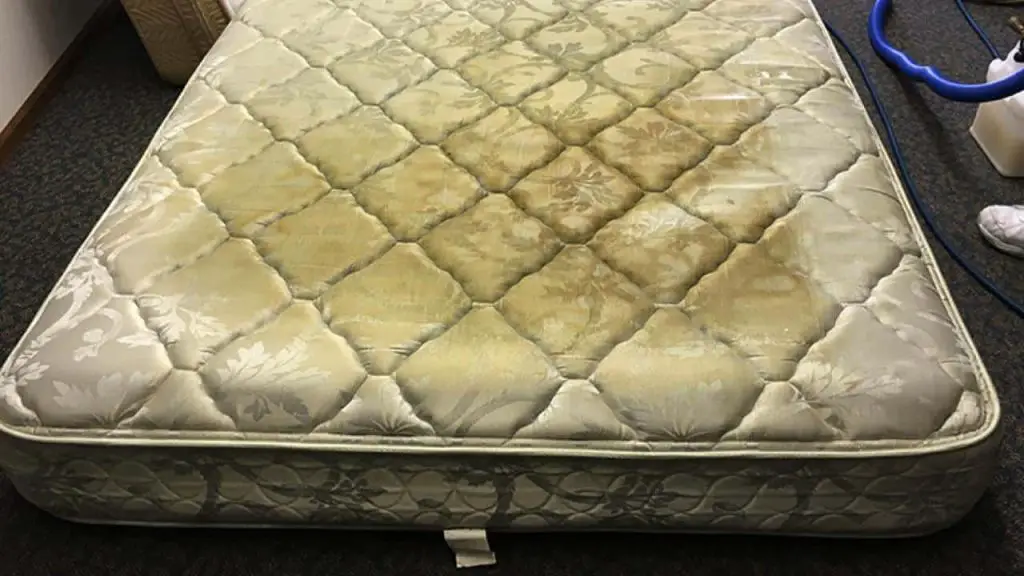 Here’s what’s hiding in your mattress: if you knew, you would always clean it