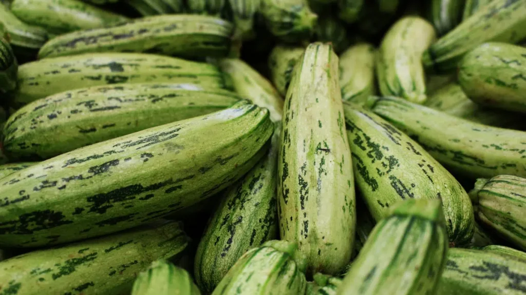 How to Preserve Zucchini for 6 Months Without Freezing: An Amazing Trick