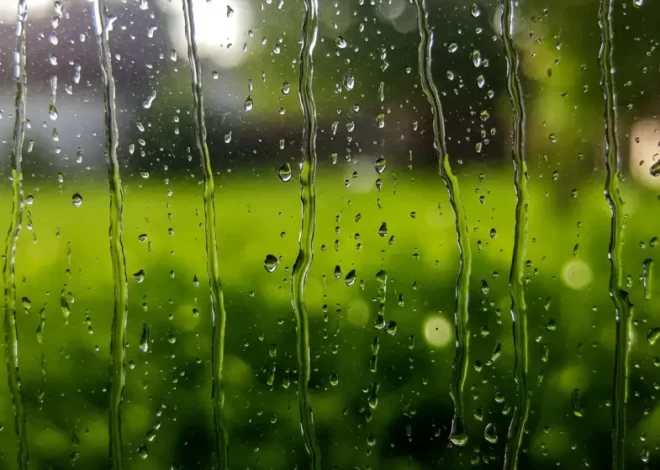 How to remove streaks from windows: just one ingredient is enough to make them shine.
