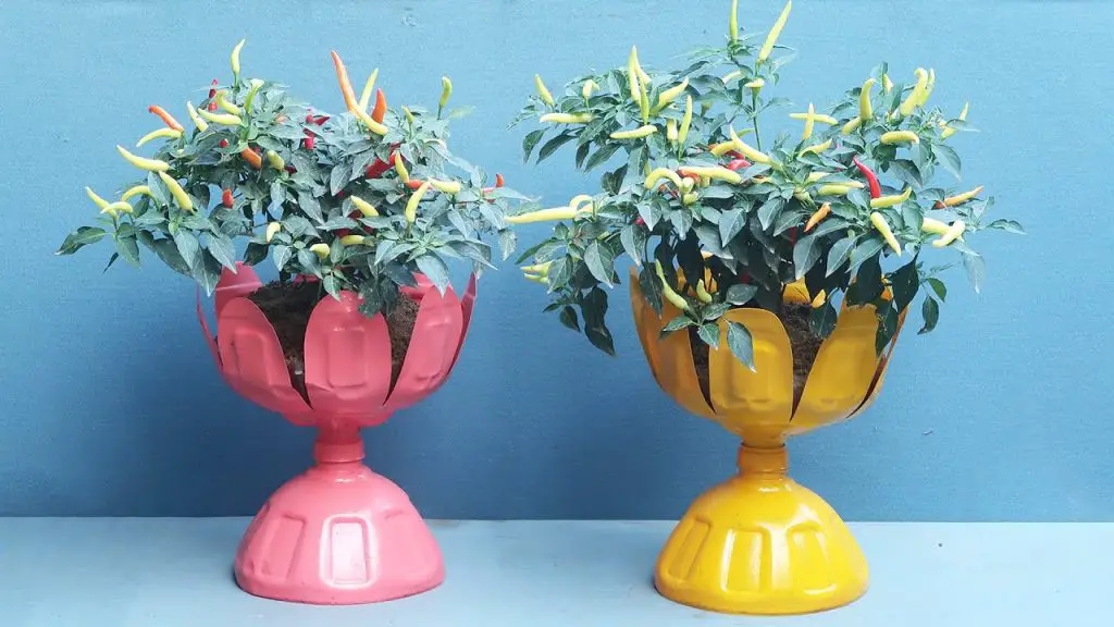 Ingenious Potted Plant Ideas Using Recycled Plastic Bottles