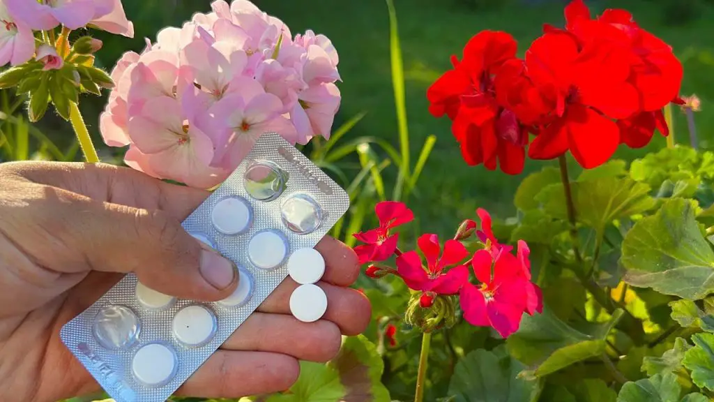 July’s Miracle: Reviving Dead Flowers into Luxuriant Blooms