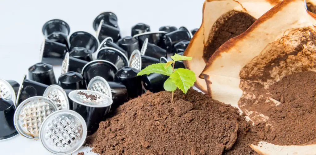 Los posos de café, un aliado insospechado. ¡Descubre 8 usos sorprendentes!