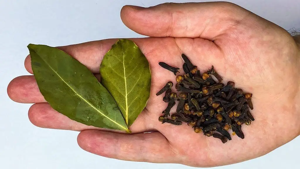 Mix Bay Leaf and Cloves: Once you try them like this, you’ll thank me