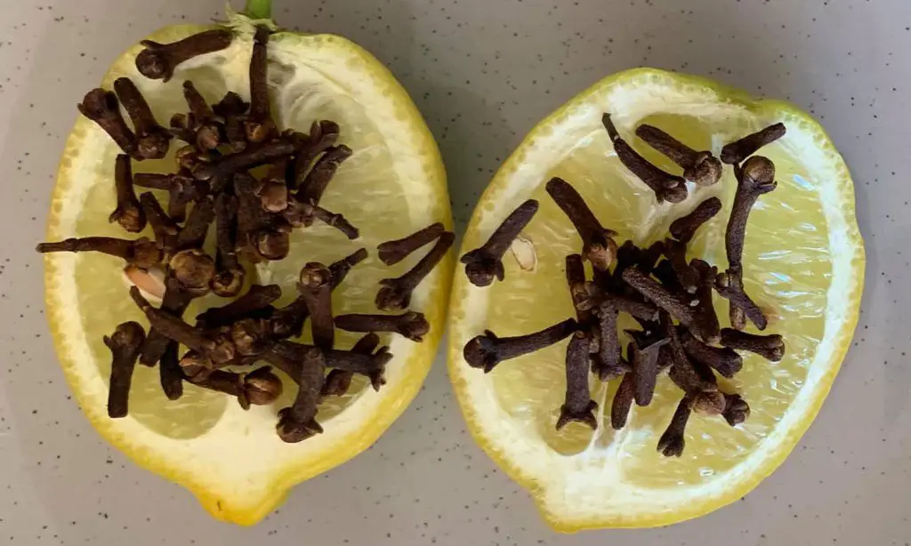 Mix Cloves with lemon : The Secret Nobody Will Ever Tell You