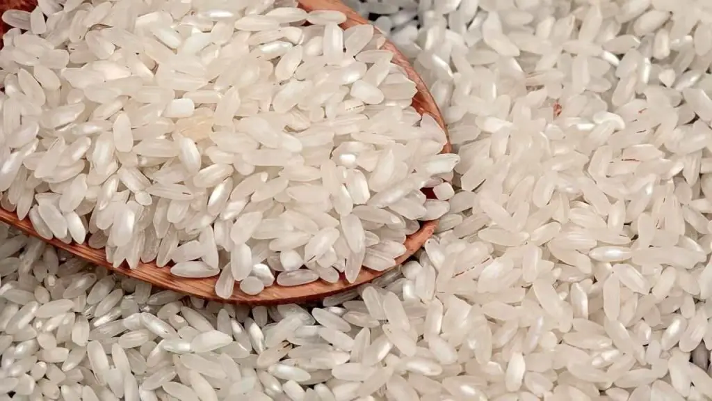 Posible presencia de triciclazol en arroz, rectificación conforme al art. 8 Ley 17/1948