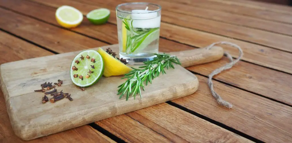 Repelente de mosquitos natural: ¡Descubre la asombrosa eficacia de estas 5 plantas!