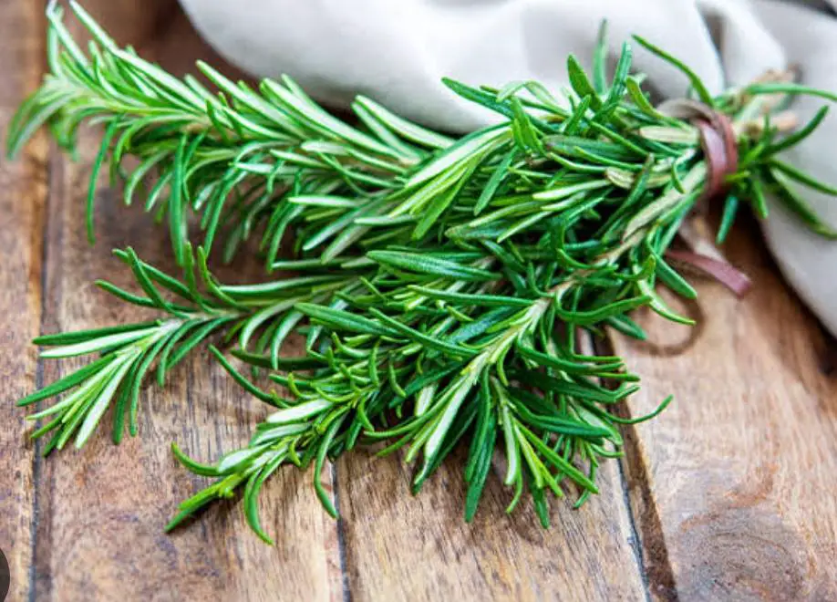 Rosemary and Clove: Recipe
