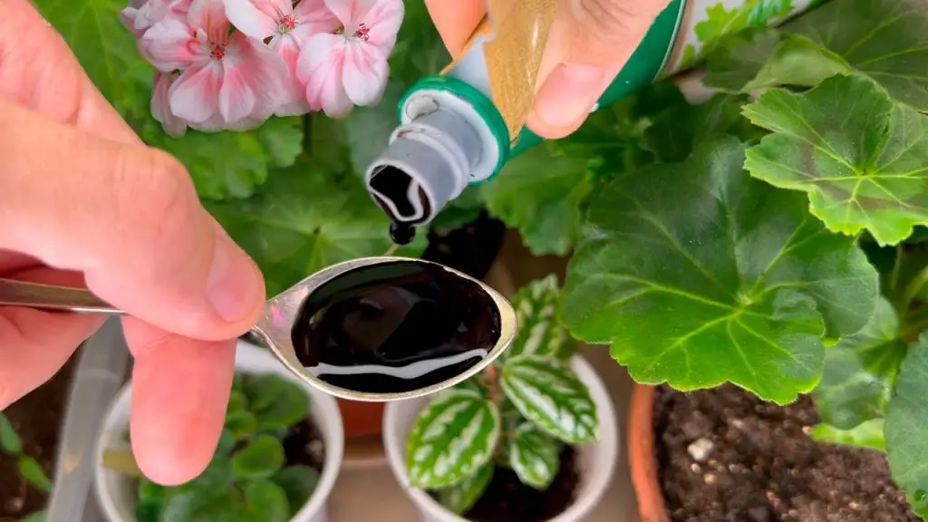 Spring’s Secret Weapon Instantly Greening and Blooming Flowers with Drip Irrigation!