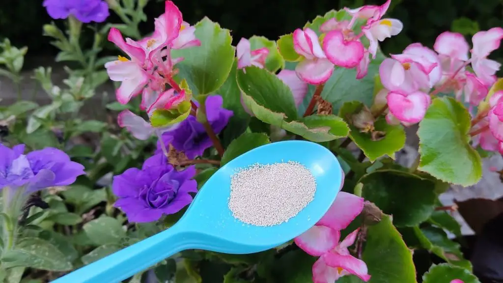Summer Bloom Boost Give Your Flowers This Essential Treatment for Profuse Blooms!