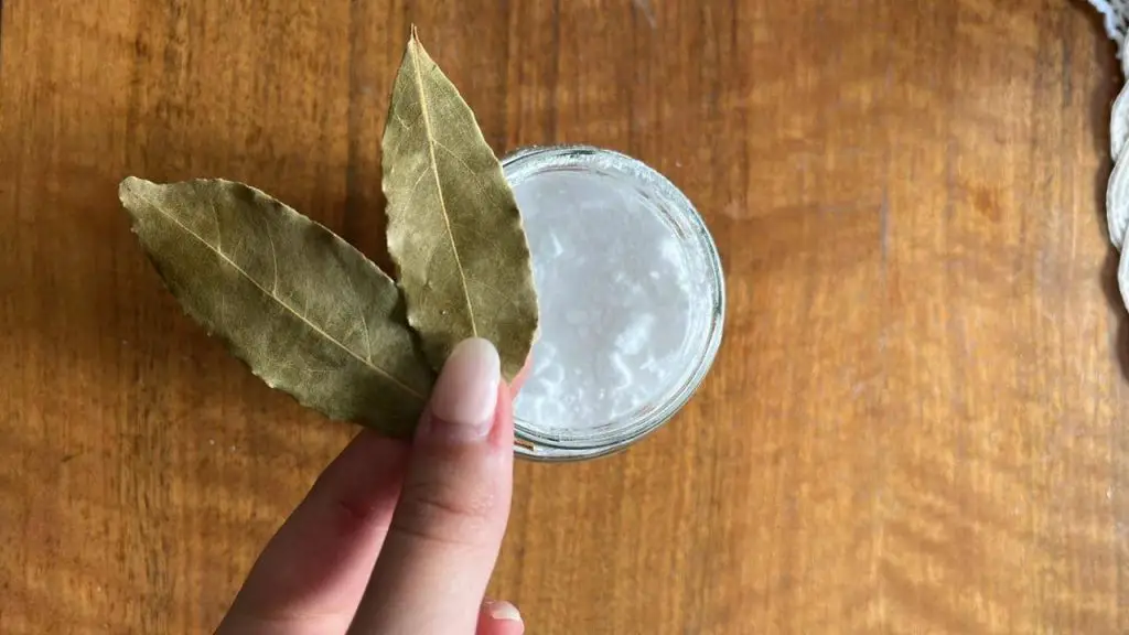 The Baking Soda on Laurel Trick: The Ancient Technique of Grandmothers That Didn’t Deserve to Be Forgotten