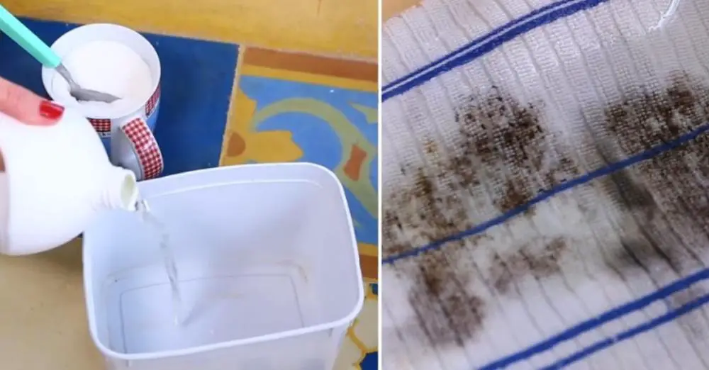 The Sugar Trick Removes Even the Toughest Mold Stain – Step by Step