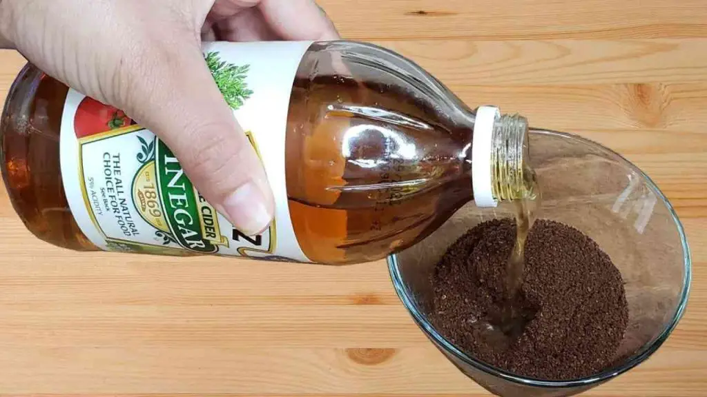 The Surprising Benefits of Mixing Apple Cider Vinegar with Coffee Grounds