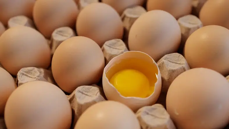 This method can store eggs for a year.