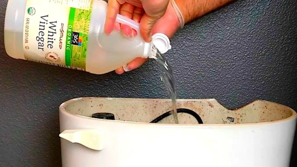Vinegar in the bathroom solves a very annoying problem: many people do it.