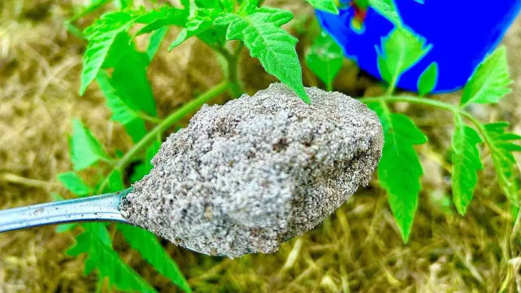 Almost everyone has it at home and it is a natural bomb for healthy, native plants