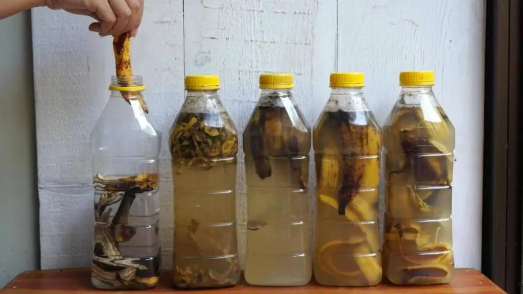 Banana peels: Place them in a bottle. If you use them like this you will never throw them away again