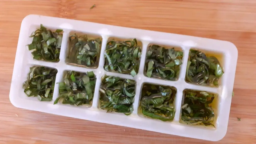 Basil, this is the trick for keeping fresh leaves for up to 6 months | No more waste