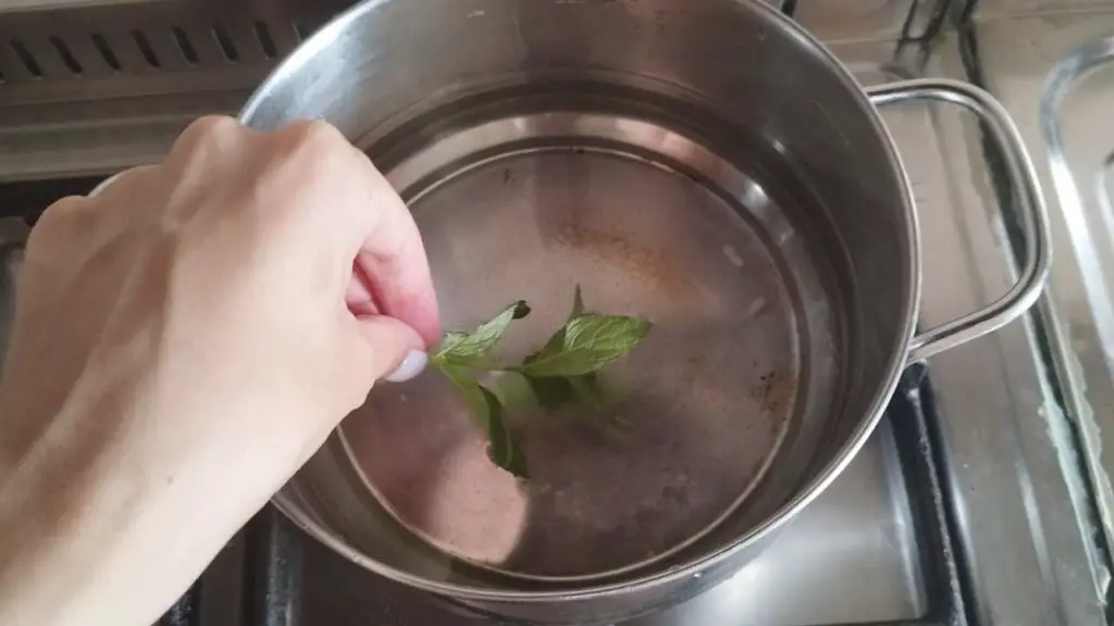Boil 3 mint leaves in the pan like my grandmother did: after 10 minutes see what happens in the house