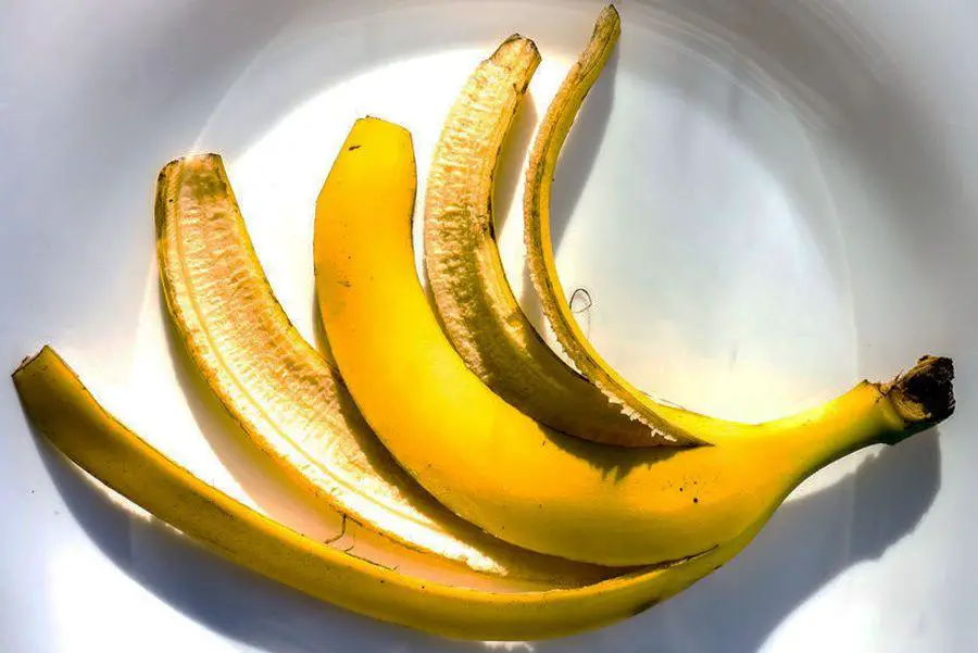 Don’t Throw Away Banana Peels: 34 Ways to Use Them