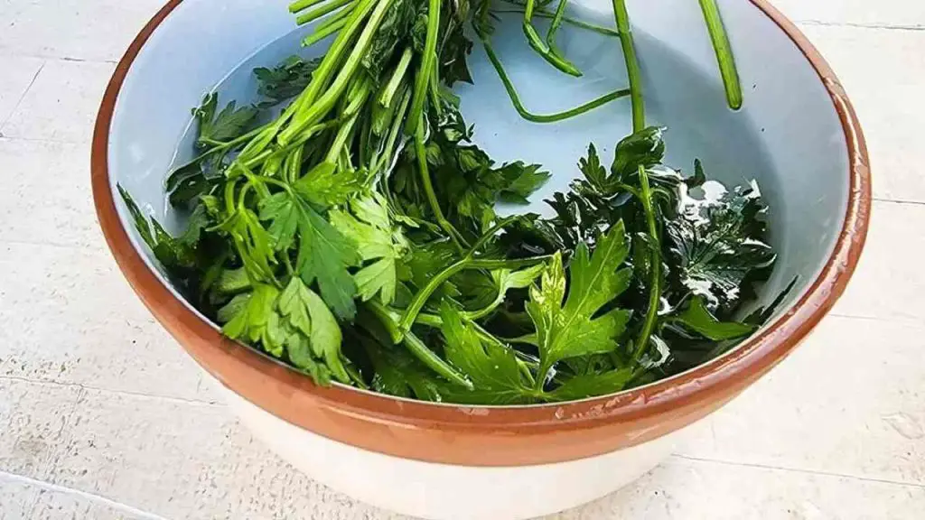 Fresh parsley for a month with the bowl method: chefs do it