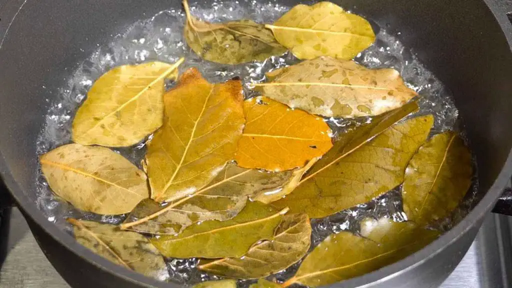 If you boil this, the insects will fly away from your house after 5 minutes