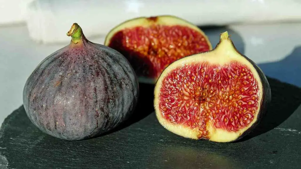 Plant 4 figs in a vase full of soil, you can’t imagine what happens shortly afterwards
