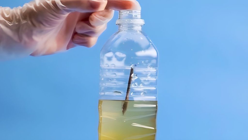 Take rusty nails and immerse them in a bottle full of water: because it is very useful