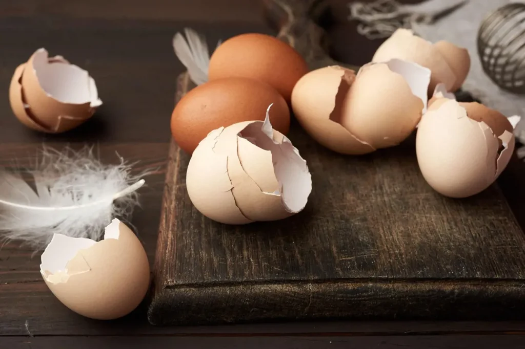 These are the three ingredients that will bring life back to any flower Eggshells will help you ensure a bountiful harvest