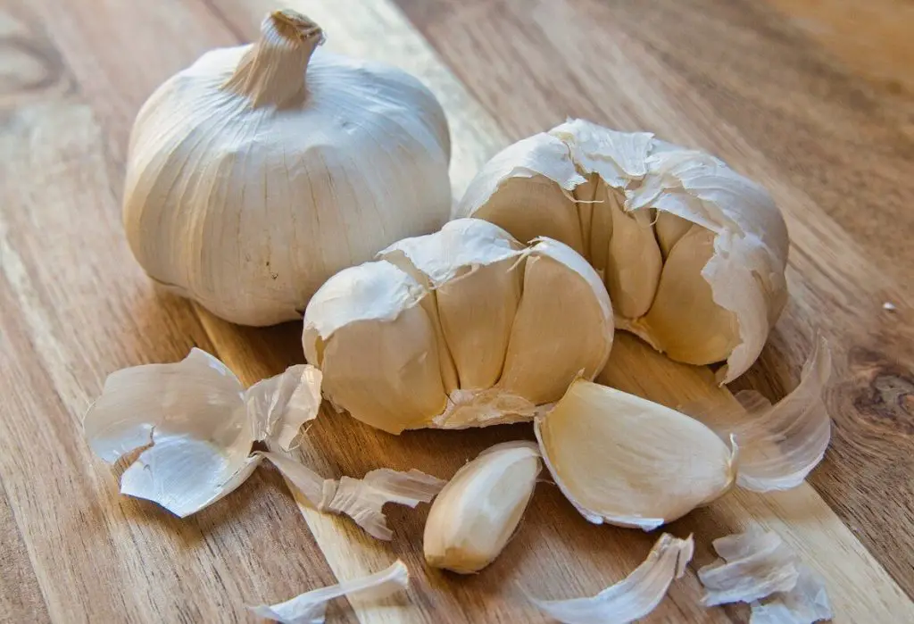 These mistakes are made by 90% of gardeners when planting garlic, due to which the heads grow small
