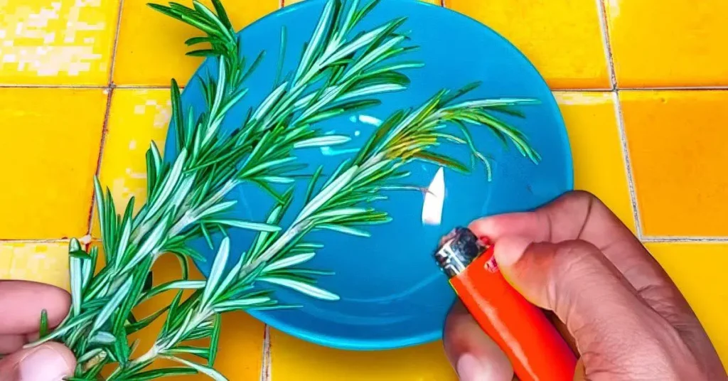 Try burning a sprig of rosemary at home and observe the effects after 10 minutes.